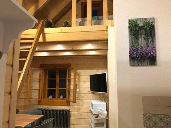 U Mistra Vichra Apartment Cerny Dul Exterior photo